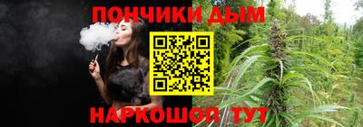 дживик Гатчина
