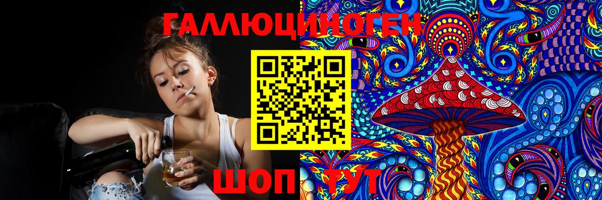 Псилоцибиновые грибы Psilocybine cubensis Гулькевичи